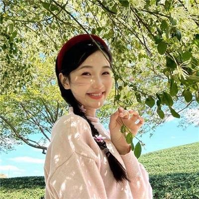 蔷薇处处开